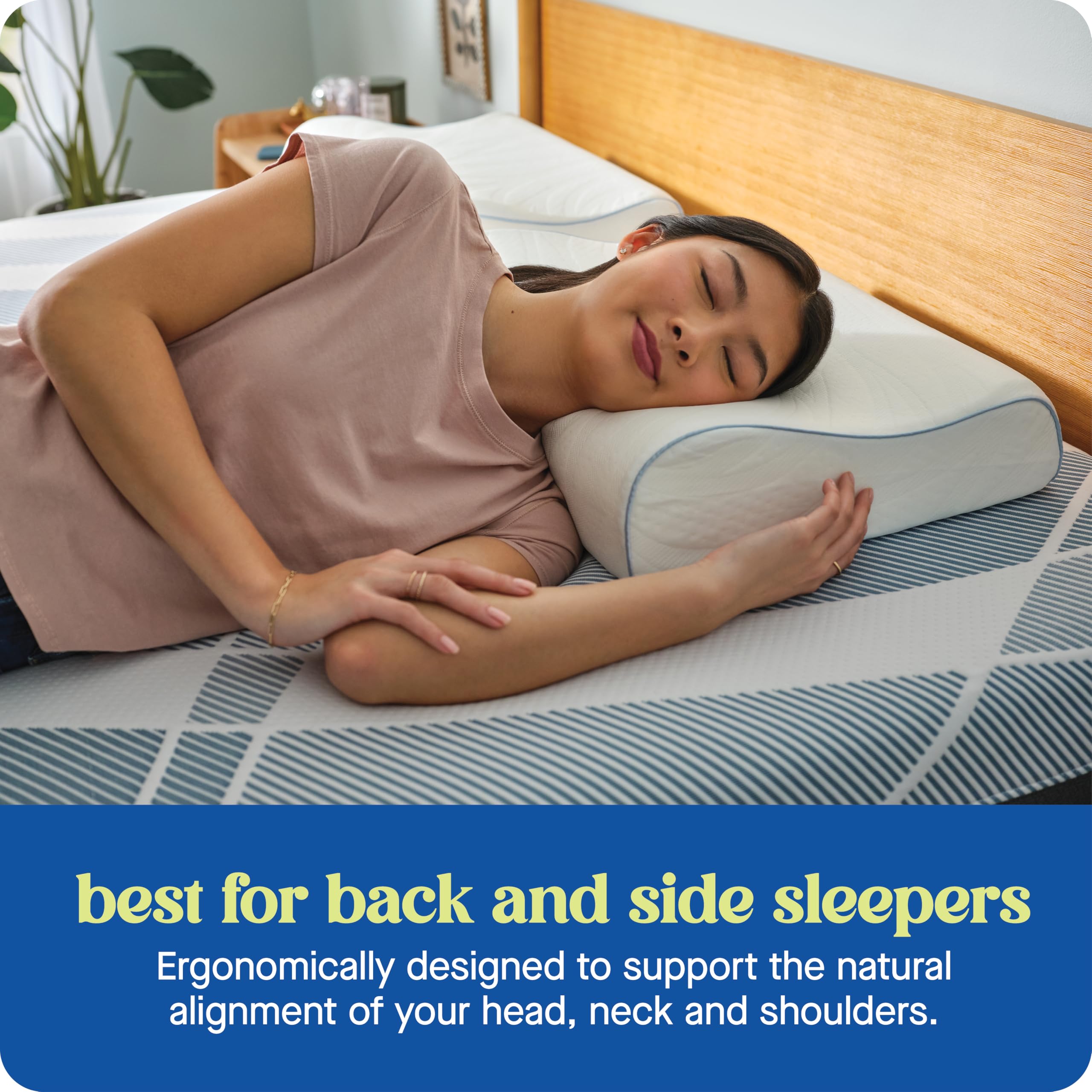 SEALY Dreamlife Standard Size Contour Memory Foam Pillow with Surface Guard Technology, Removable Machine-Washable Cover, 1 Year Limited Warranty - Image 5